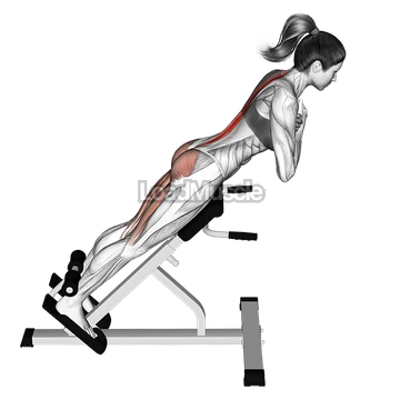 45 degree hyperextension (arms in front of chest)