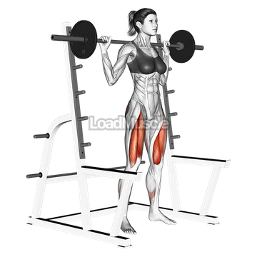 Barbell Full squat (with rack)