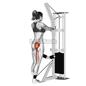 Cable standing hip extension