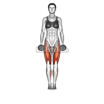 Dumbbell Curtsey lunge