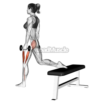 Dumbbell one leg squat w