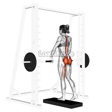 Smith One Leg Deadlift