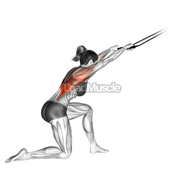 Band kneeling pulldown