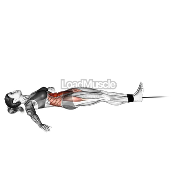 Band lying leg and hip raise