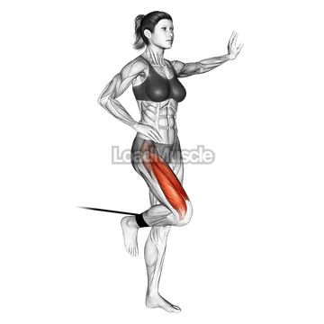 Band standing leg extension