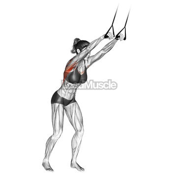 Band straight arm pulldown