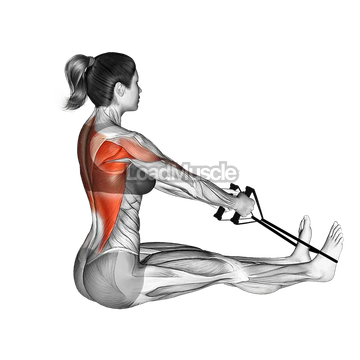 Band straight back seated row