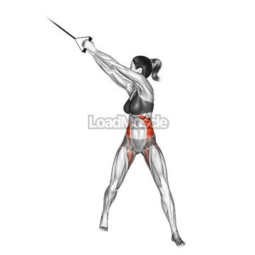 Band twist (up down)