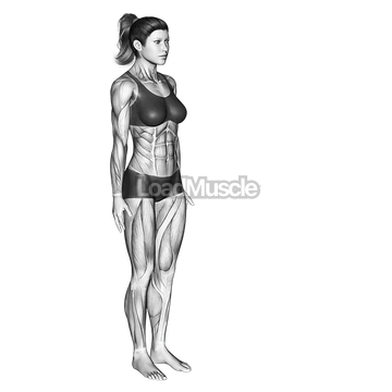 Chair Pose Utkatasana