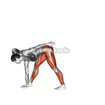 Half Moon Pose Ardha Chandrasana