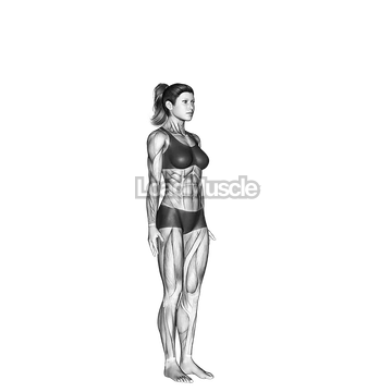 Hands to Feet Pada Hastasana