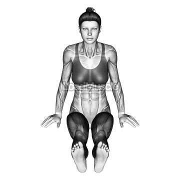 Lotus Yoga Pose Padmasana