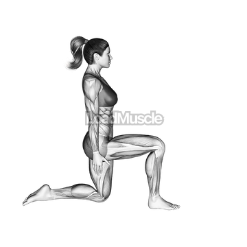 Revolved Side Angle Pose Parivrtta Parsvakonasana