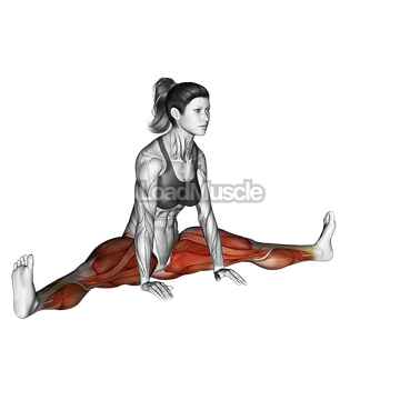 Spread Leg Forward Fold Upavista Konasana