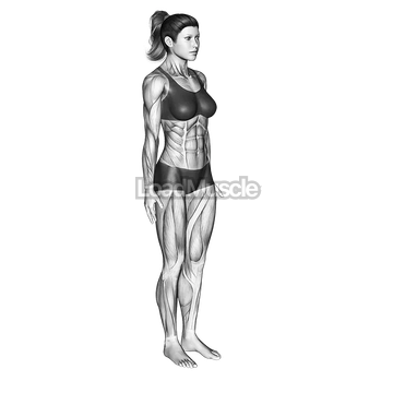 Stand Spread Leg Forward Fold