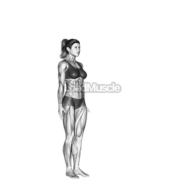 Warrior Pose Virabhadrasana