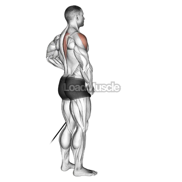 Band front lateral raise