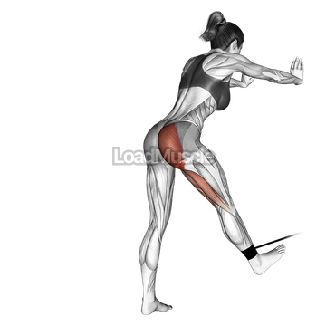 Band bent over hip extension