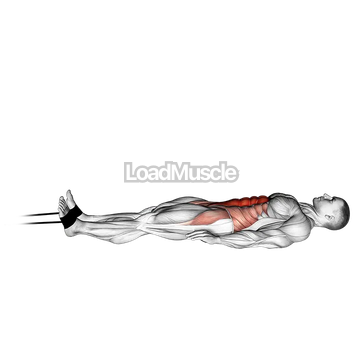 Band jack knife sit up