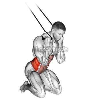 Band Kneeling Twisting Crunch