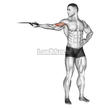 Band one arm overhead biceps curl