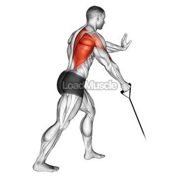 Band one arm Standing Low Row