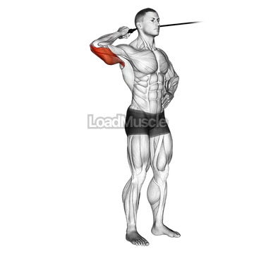 Band side triceps extension