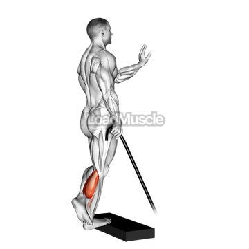 Band single leg calf raise