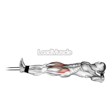 Band Lying Straight Leg Raise