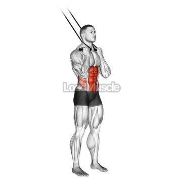 Band standing crunch