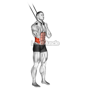 Band standing twisting crunch