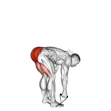 Band stiff leg deadlift