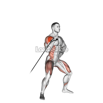 Band twisting overhead press