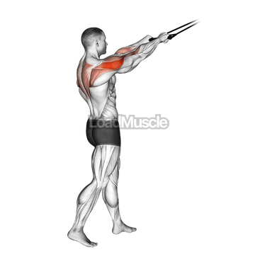 Band standing rear delt row