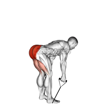 Band straight back stiff leg deadlift