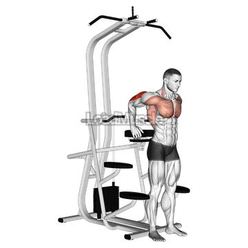Assisted Standing Triceps Dip