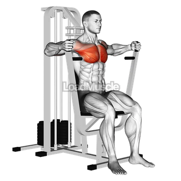 Lever Parallel Chest Press