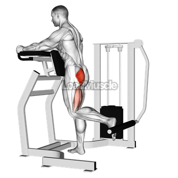 Lever Standing Hip Extension