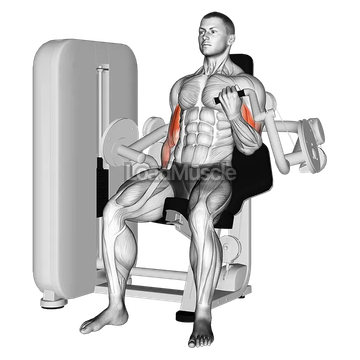 Lever Alternate Biceps Curl