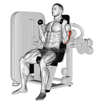 Lever Triceps Extension