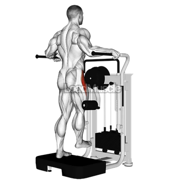 Lever Side Hip Abduction