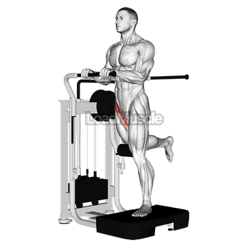 Lever Standing Leg Raise