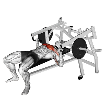 Lever Lying Chest Press (plate loaded)