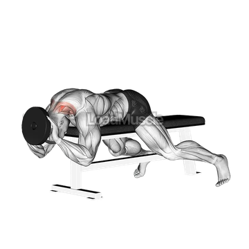 Weighted Lying Neck Extension