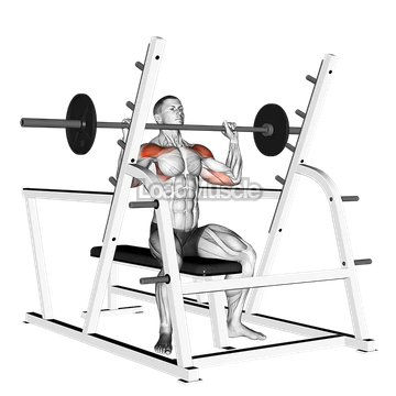 Barbell Seated Military Press (inside squat cage)