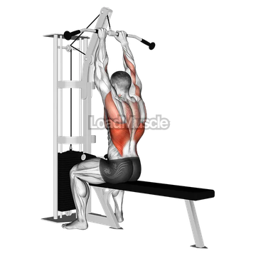 Cable Close Grip Front Lat Pulldown