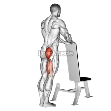One leg kickback (with bench support)