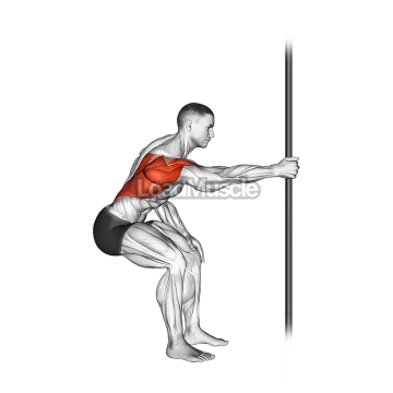 Fixed Bar Back Stretch