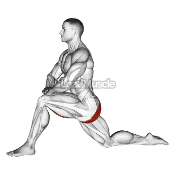 Kneeling Hip Flexor Stretch