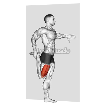 Standing Quadriceps Stretch